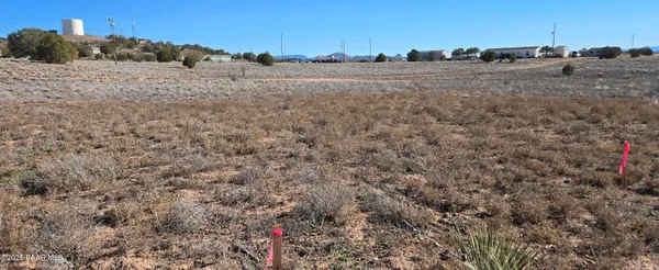 a view of a dry yard