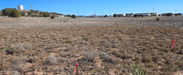 a view of a dry yard