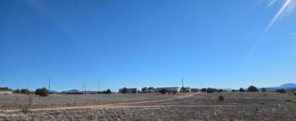 a view of a dry yard