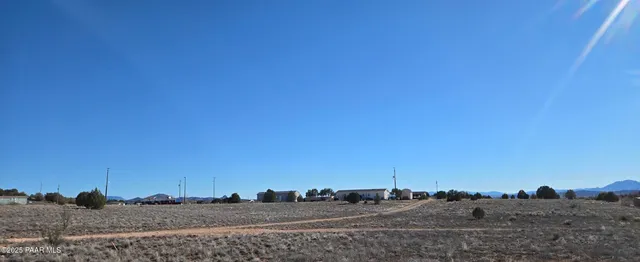 a view of a dry yard