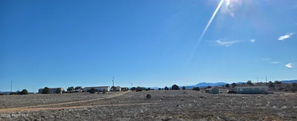 a view of a dry yard