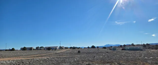 a view of a dry yard