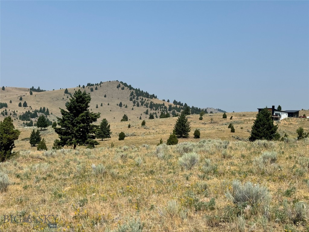 The The Subsequently Butte, MT 59701 - Photo 1 of 1 Gallery Image 1