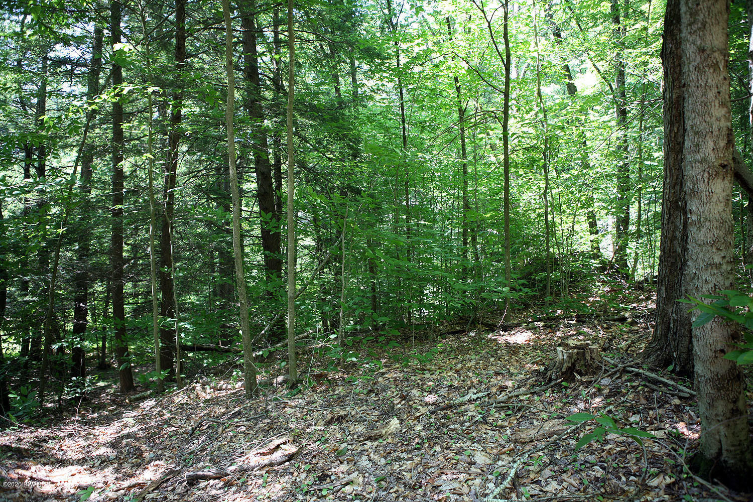 0 Braman Road Equinunk, PA 18417 - Photo 31 of 36