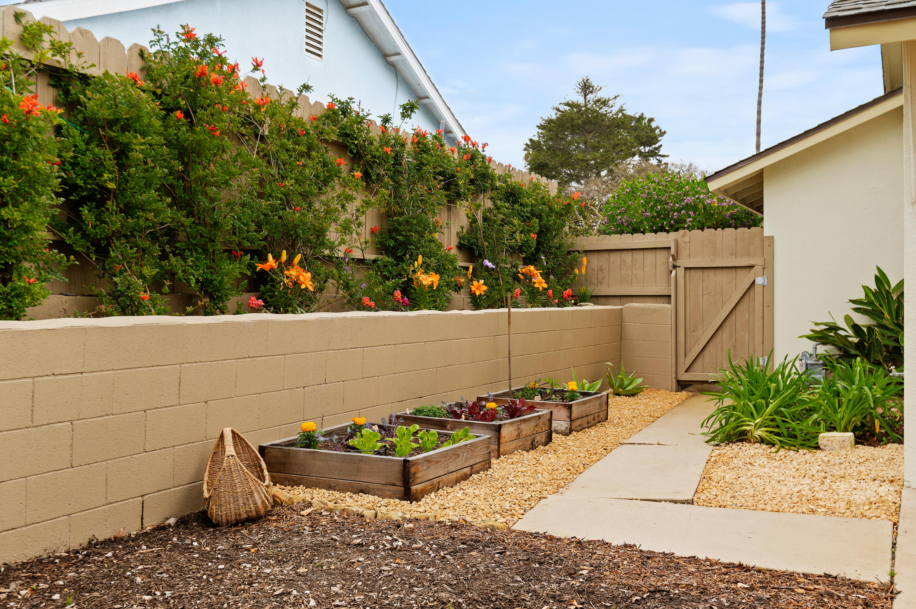 263 Big Sur Drive Goleta, CA 93117 - Photo 24 of 27 17-print-17 - Garden