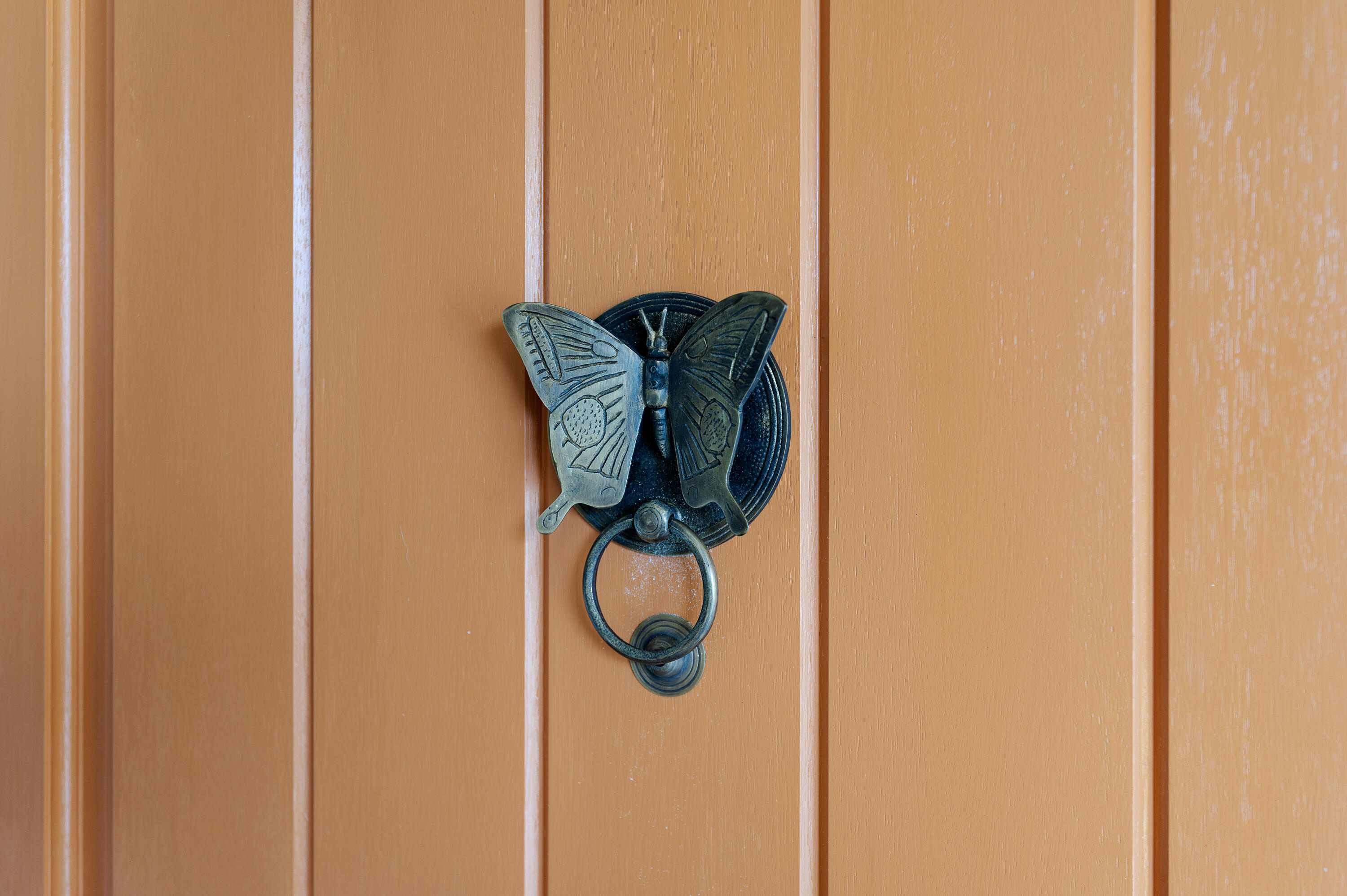 263 Big Sur Drive Goleta, CA 93117 - Photo 4 of 27 27-print-27 - Butterfly