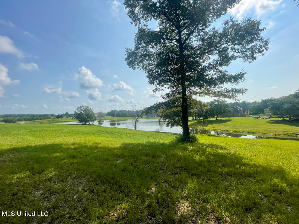 Lot 11 Conner Stringer Drive Lucedale, MS 39452 - Photo 22 of 54 IMG_2292