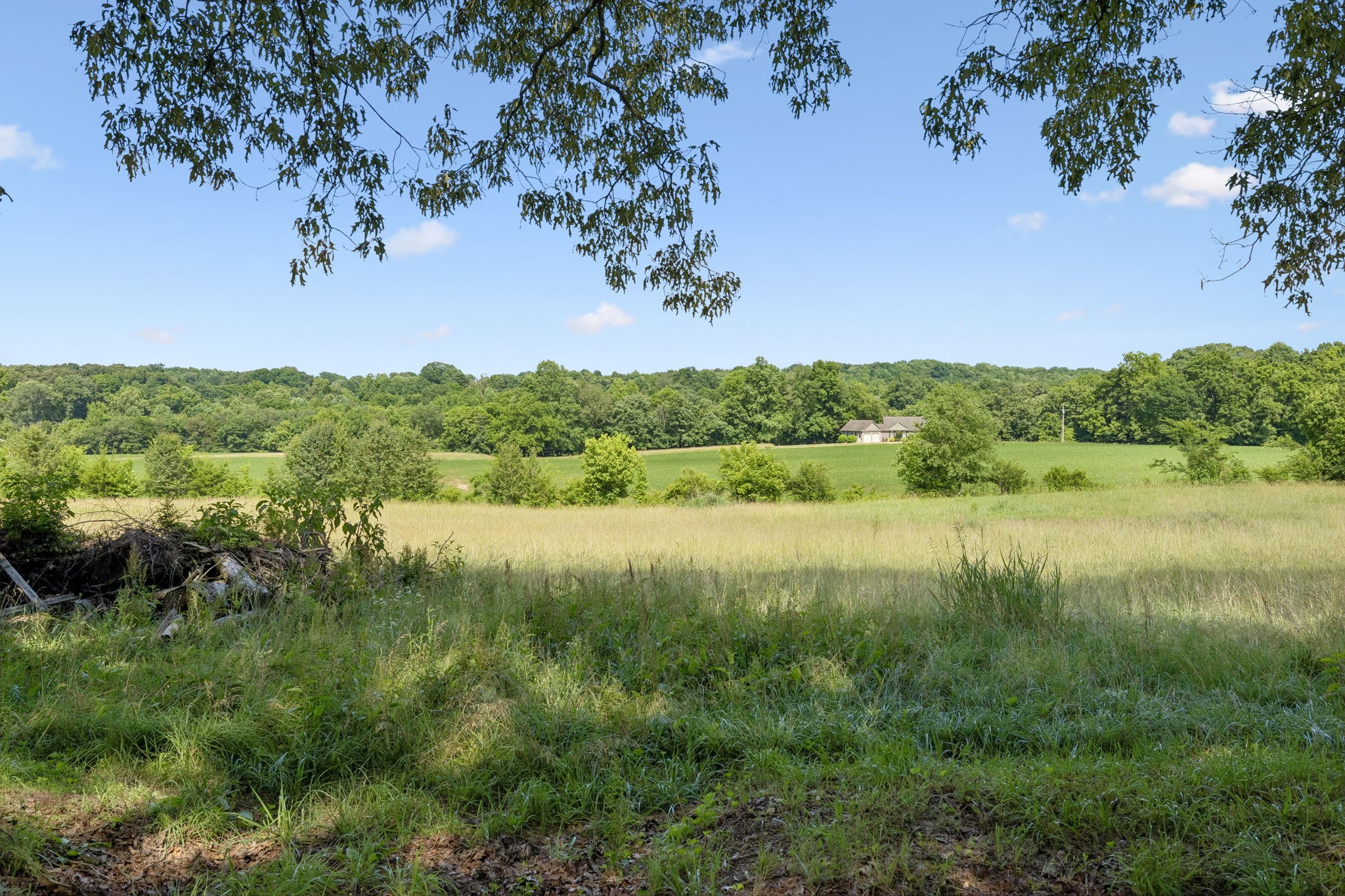 211 Hickory Hollow Road Tullahoma, TN 37388 - Photo 42 of 62