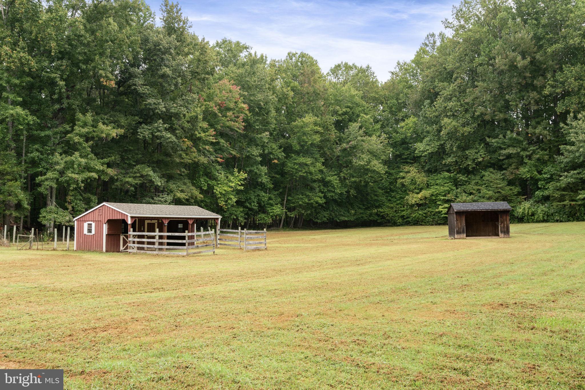 6647 Morris Road Spotsylvania, VA 22551 - Photo 50 of 57 Pasture