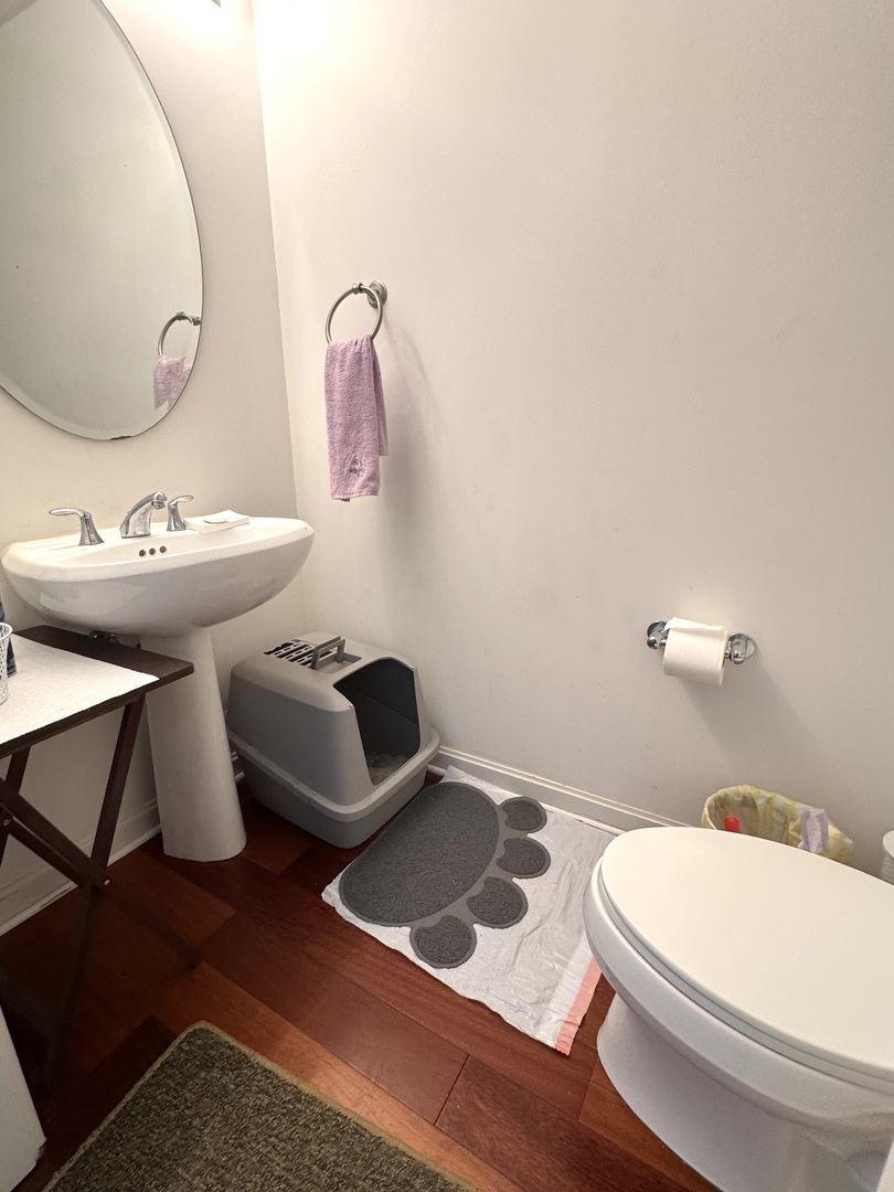 160 East Illinois Street, Unit 1805 Chicago, IL 60611 - Photo 12 of 17 a bathroom with a sink and a mirror