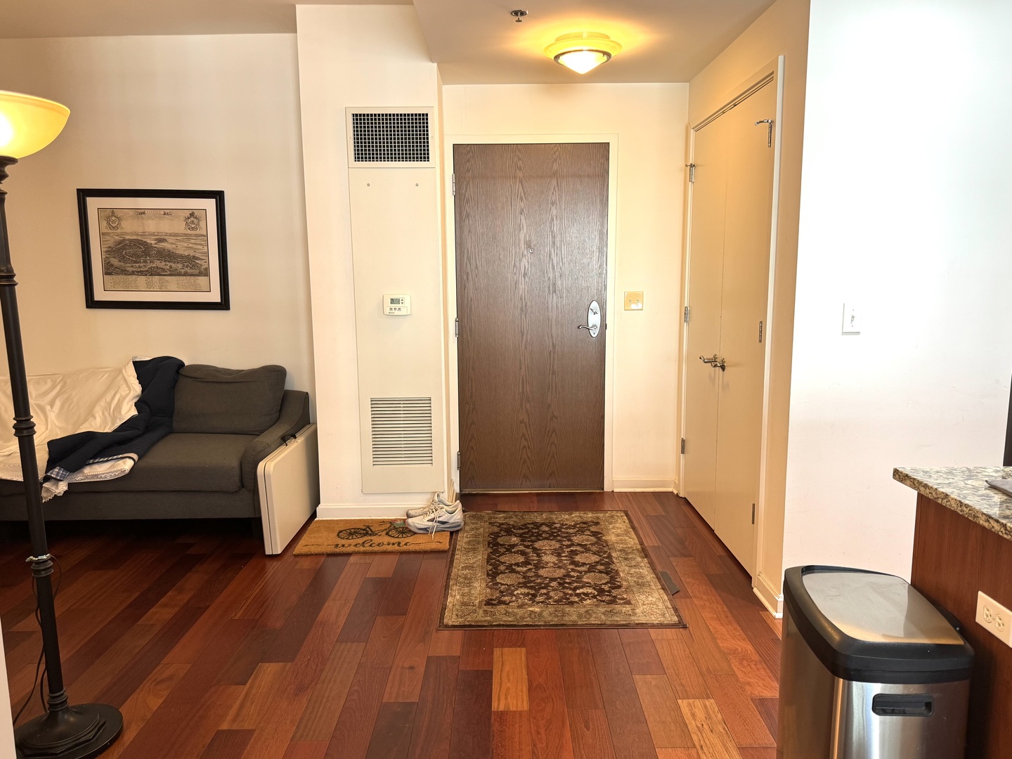 160 East Illinois Street, Unit 1805 Chicago, IL 60611 - Photo 14 of 17 a living room with furniture and a rug