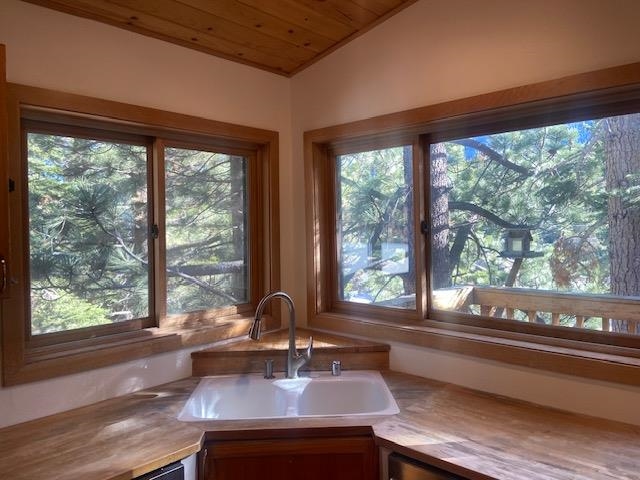 67 Hill Street Mammoth Lakes, CA 93546 - Photo 16 of 24 Sink area featuring tree views