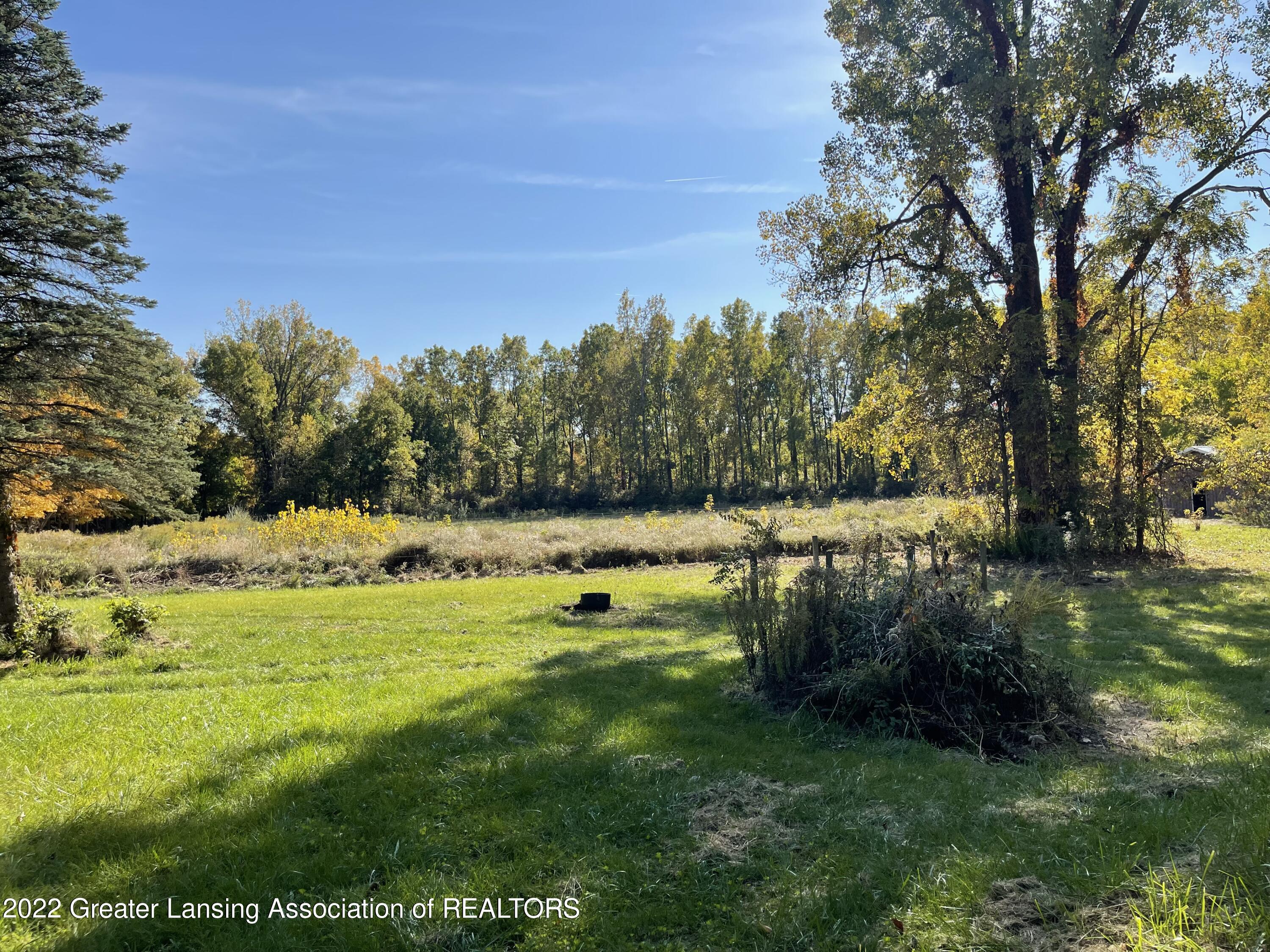 14529 West Howe Road Eagle, MI 48822 - Photo 26 of 29 Back View of Acreage