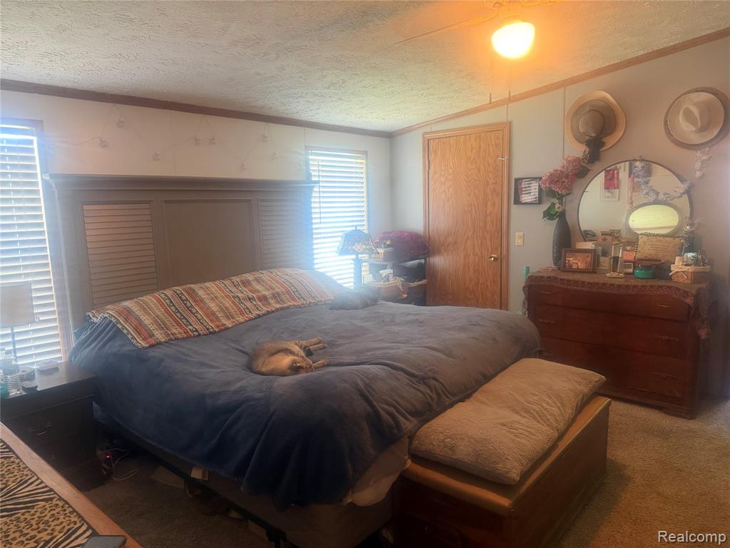 5716 Falkenbury Road North Branch, MI 48461 - Photo 33 of 51