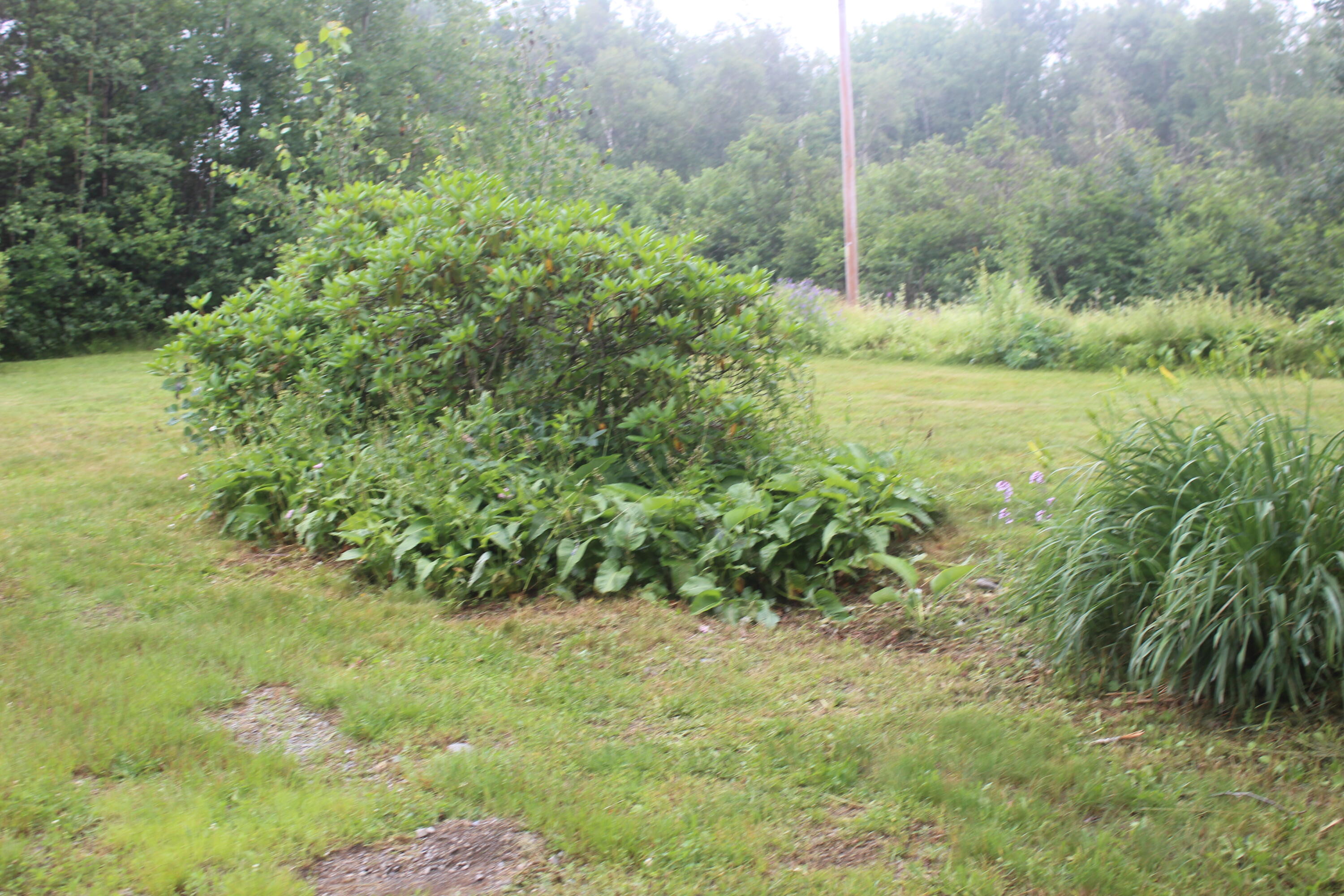 228 Wilcox Road Lubec, ME 04652 - Photo 34 of 38 IMG_4211