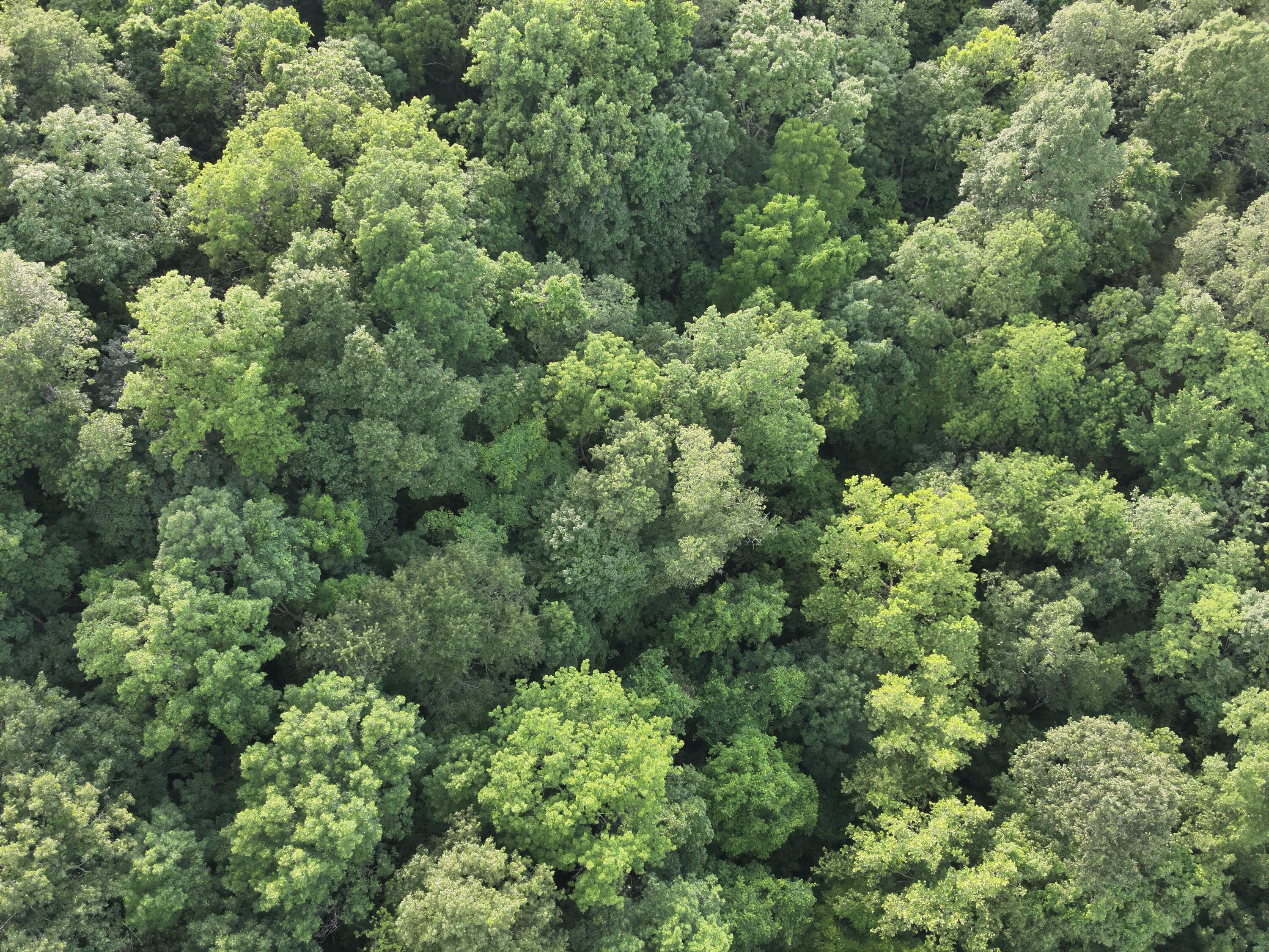DJI_20260707190932_0003_V