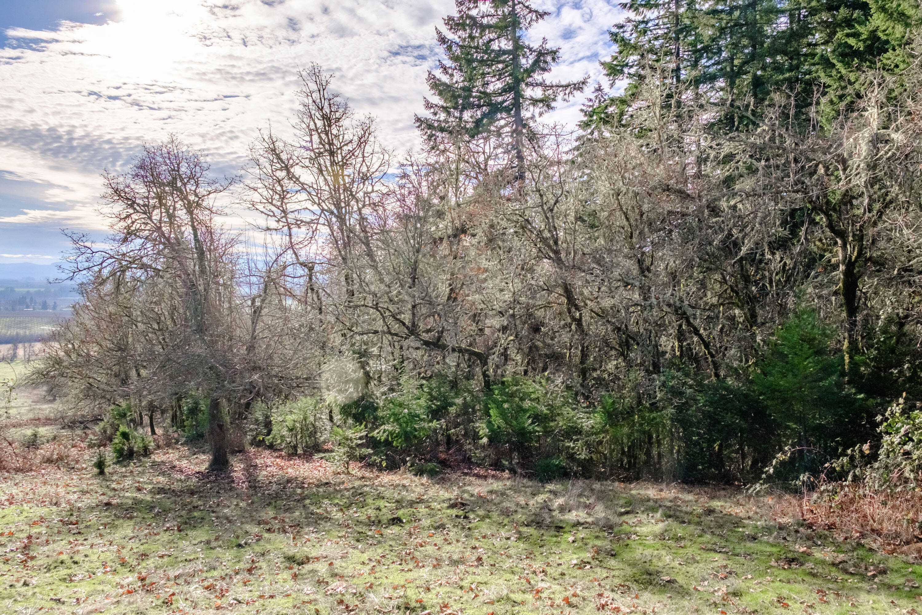 Airlie Road Monmouth, OR 97361 - Photo 21 of 34 Gallery Image 21