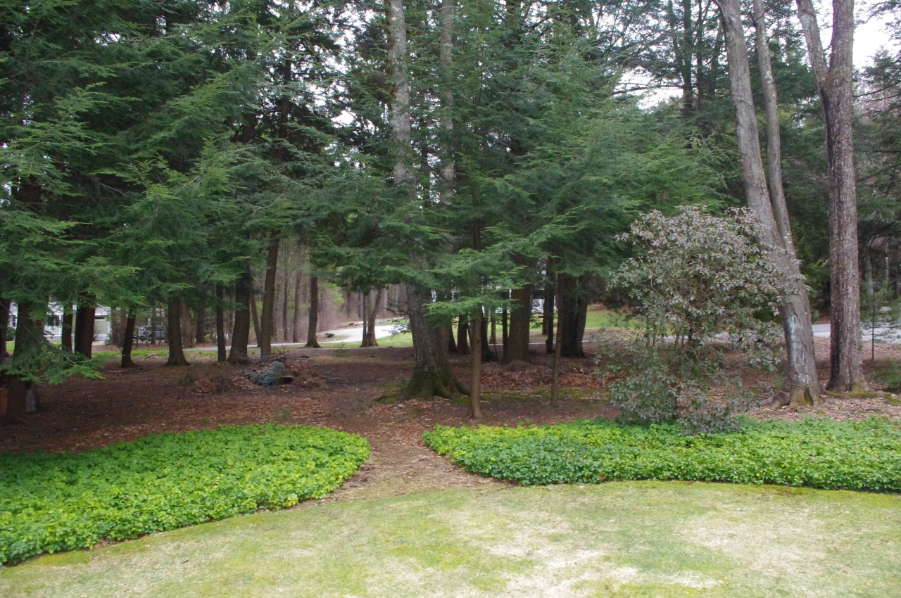 6 Hemlock Hill Road Great Barrington, MA 01230 - Photo 21 of 22 17