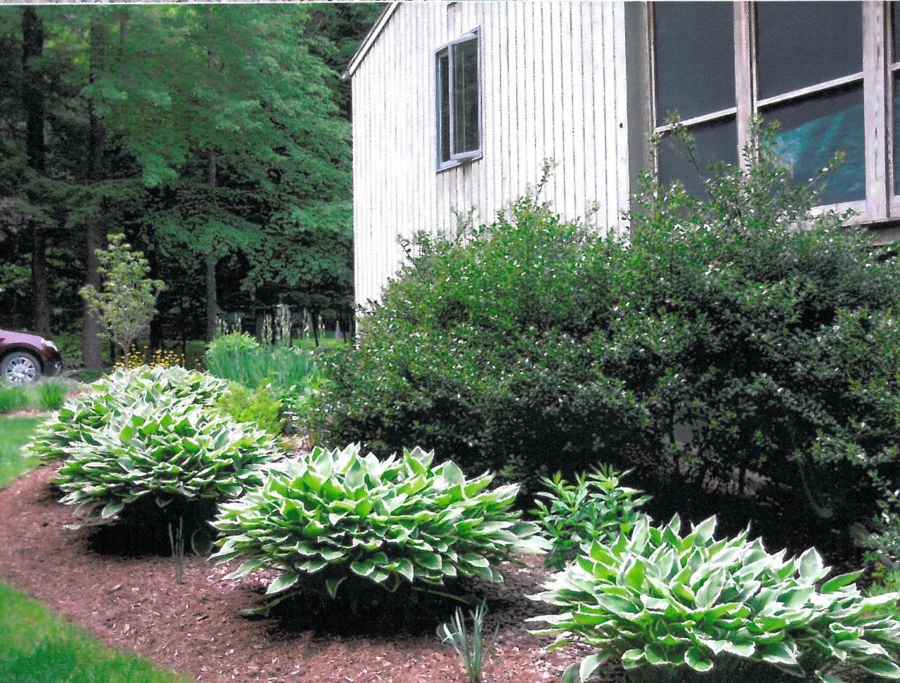 6 Hemlock Hill Road Great Barrington, MA 01230 - Photo 5 of 22 garden