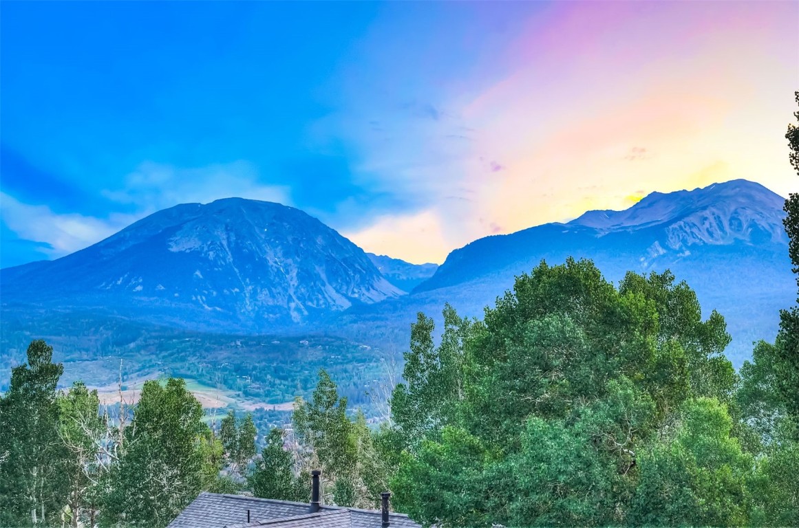 2210 Hamilton Creek Road Silverthorne, CO 80498 - Photo 27 of 50 a view of a large tree with an ocean in the background
