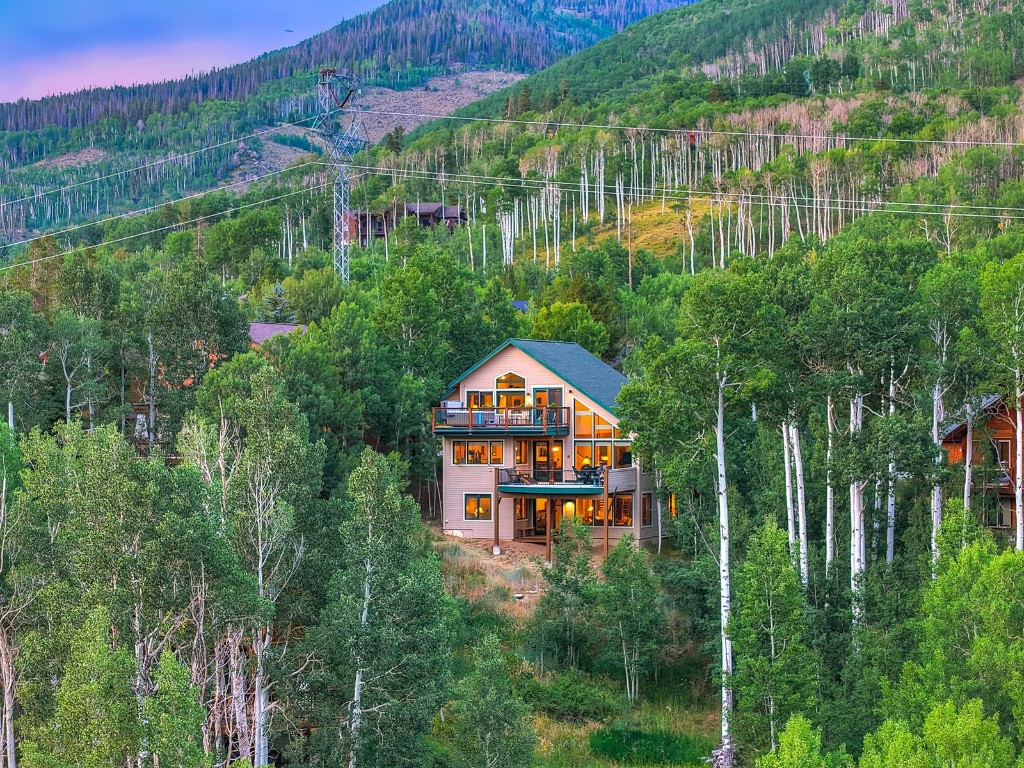 2210 Hamilton Creek Road Silverthorne, CO 80498 - Photo 43 of 50 a view of a houses with a yard and plants