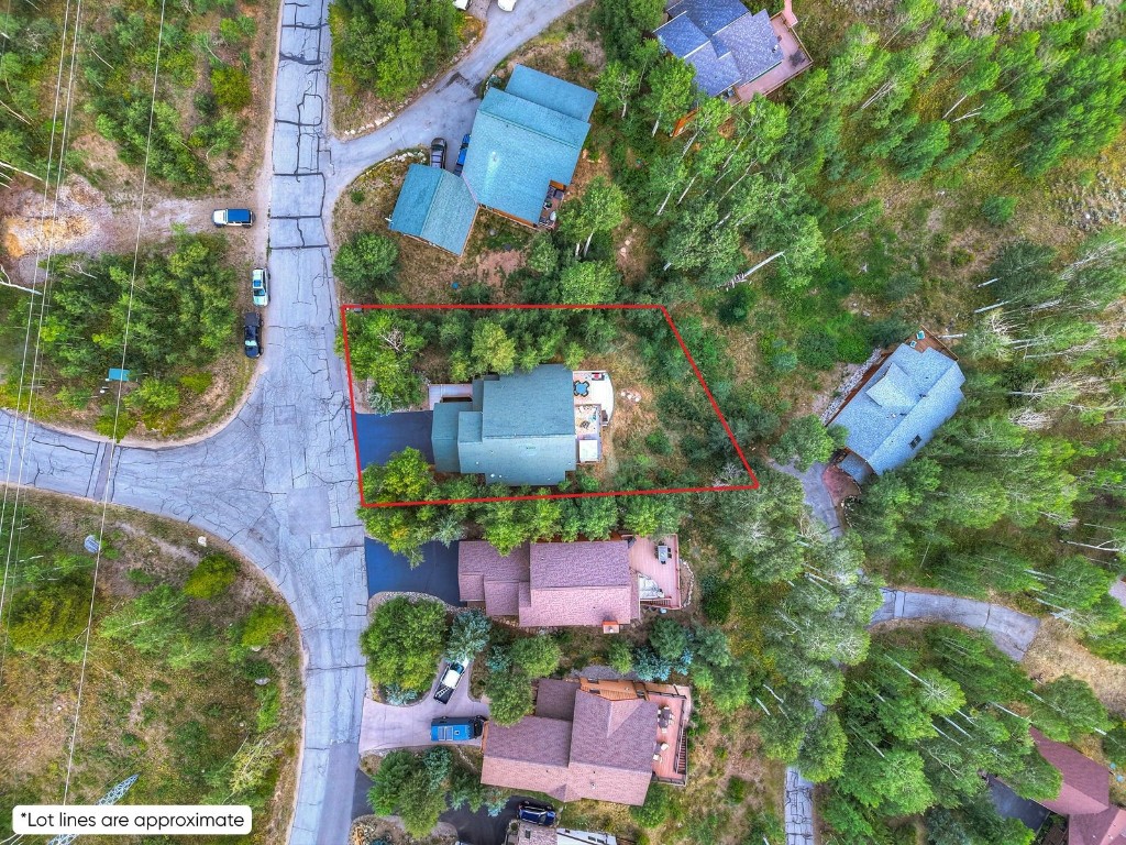 2210 Hamilton Creek Road Silverthorne, CO 80498 - Photo 49 of 50 an aerial view of a house with a garden