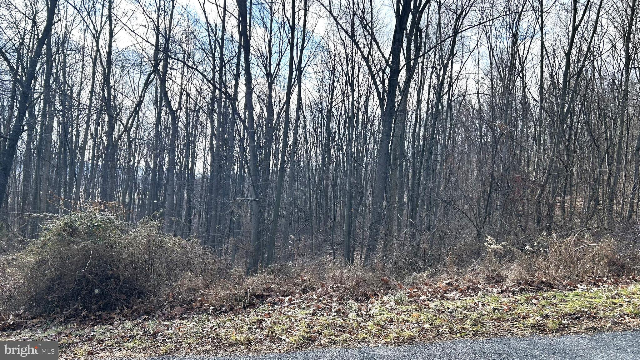 Lot #17 Weaver Woods Road Saxton, PA 16678 - Photo 3 of 5 a view of a backyard