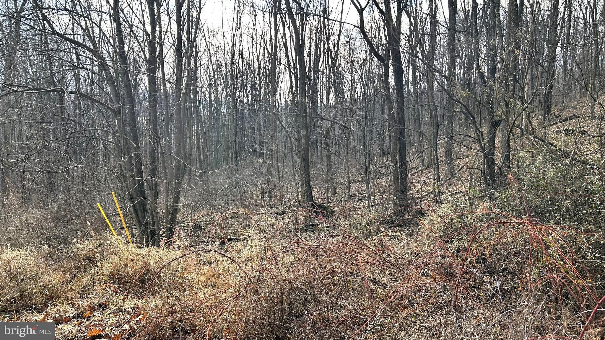 Lot #17 Weaver Woods Road Saxton, PA 16678 - Photo 4 of 5 a view of small space with wooden fence