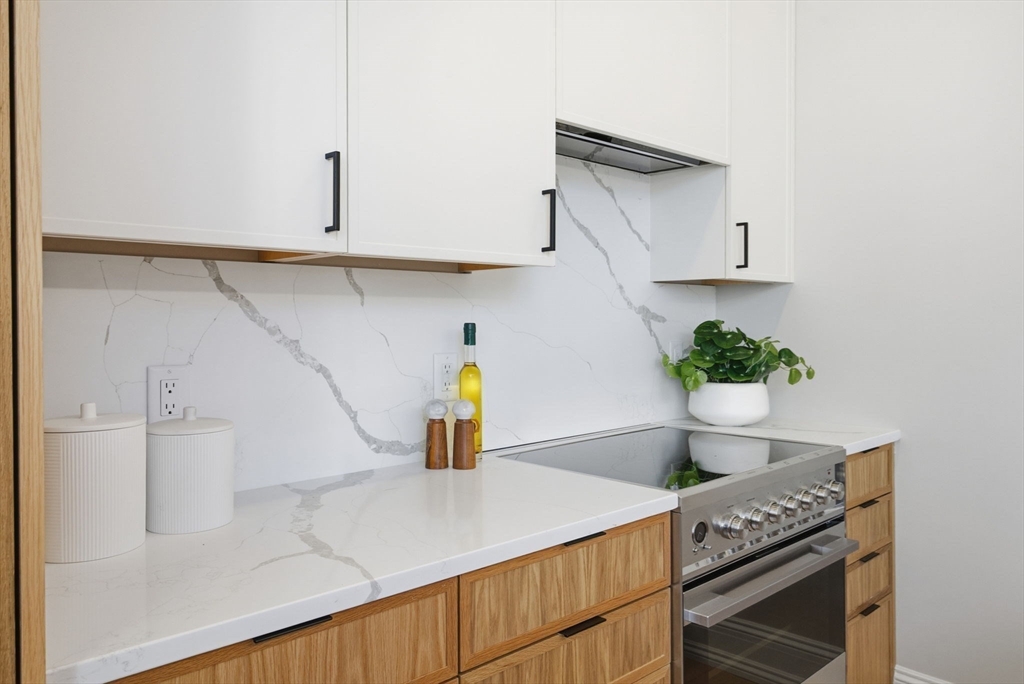 61 Hall Street, Unit 1 Waltham, MA 02453 - Photo 10 of 31