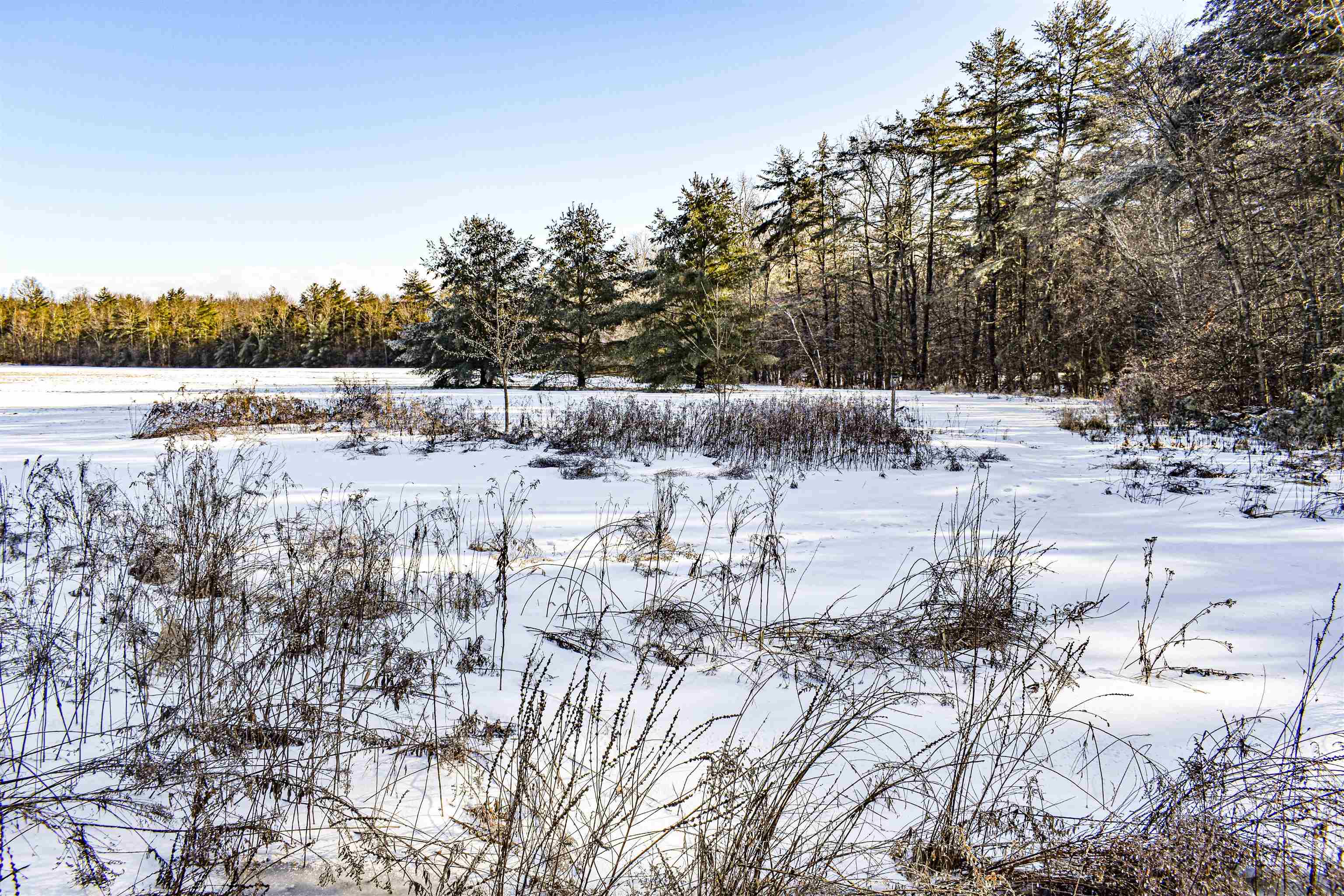 455 Ruffed Grouse Lane Panton, VT 05491 - Photo 39 of 40