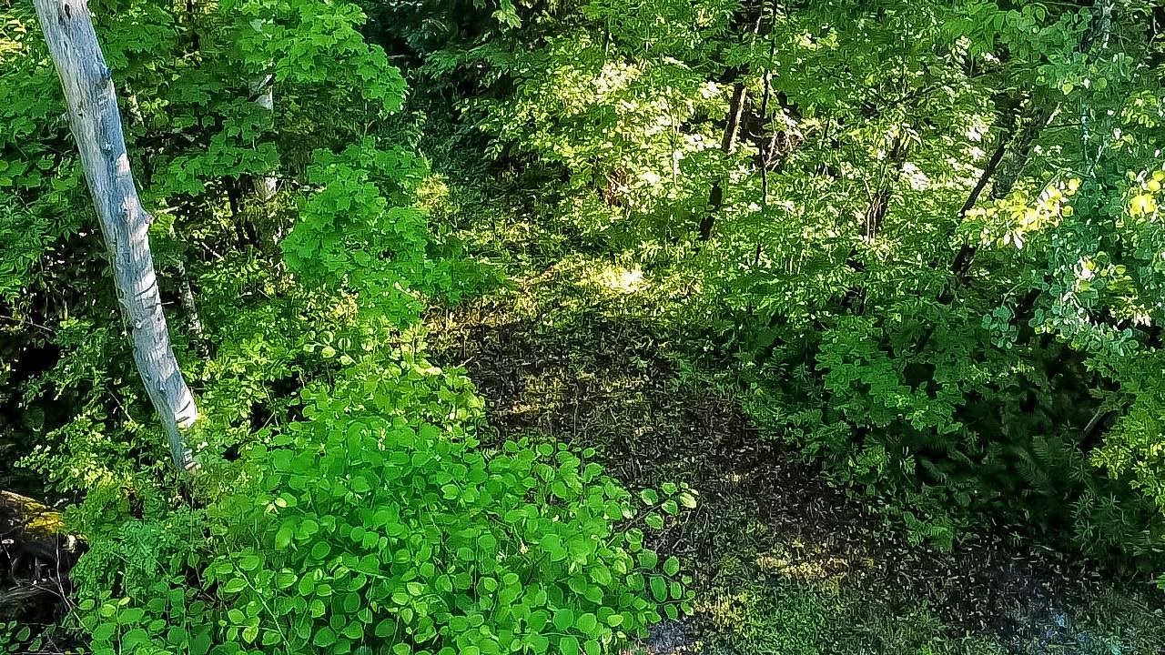 91 Dam Road Chittenden, VT 05737 - Photo 5 of 9