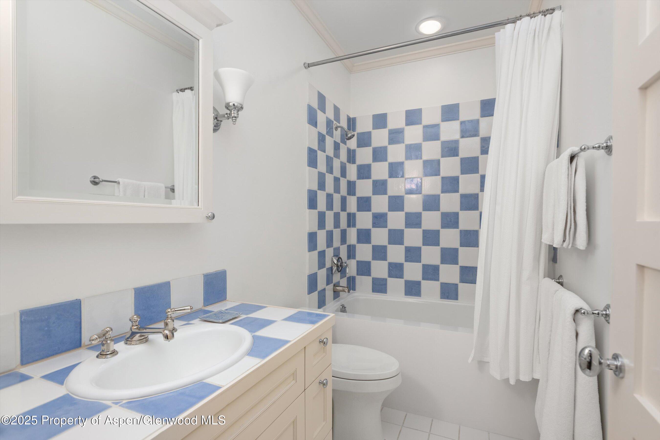 42 Northway Drive Aspen, CO 81611 - Photo 23 of 37 a bathroom with a sink toilet a shower and a mirror
