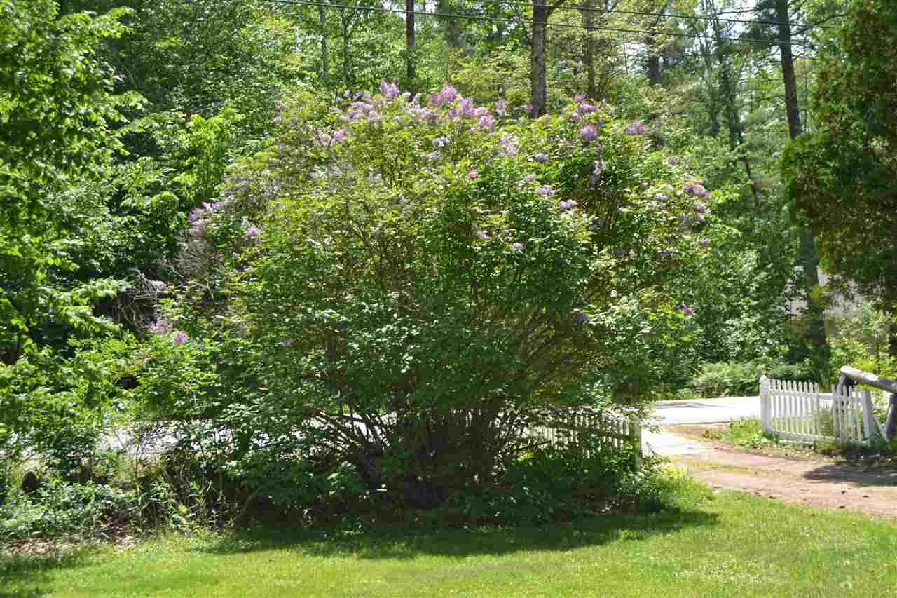 50 Livingston Road Meredith, NH 03253 - Photo 15 of 19