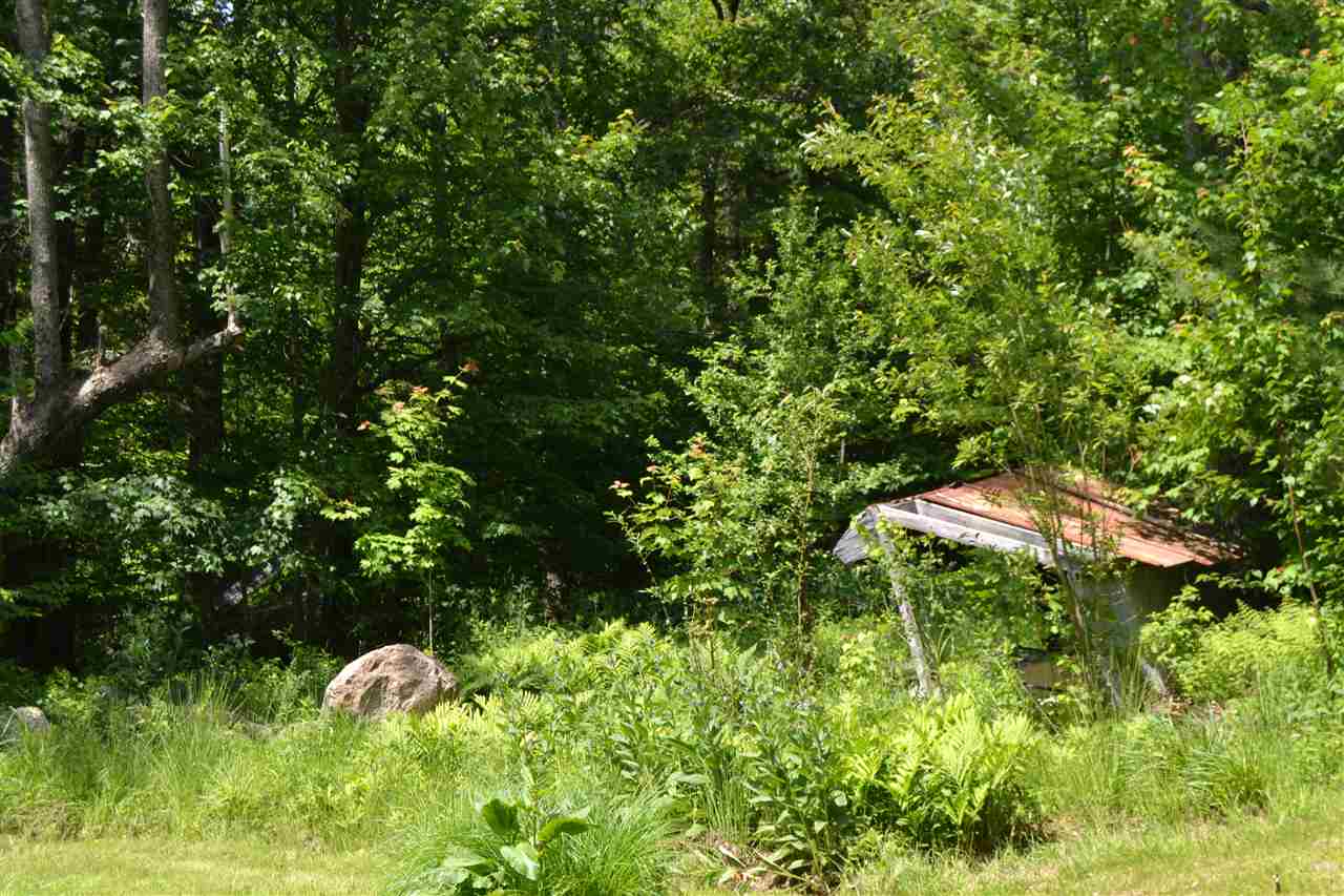 50 Livingston Road Meredith, NH 03253 - Photo 18 of 19