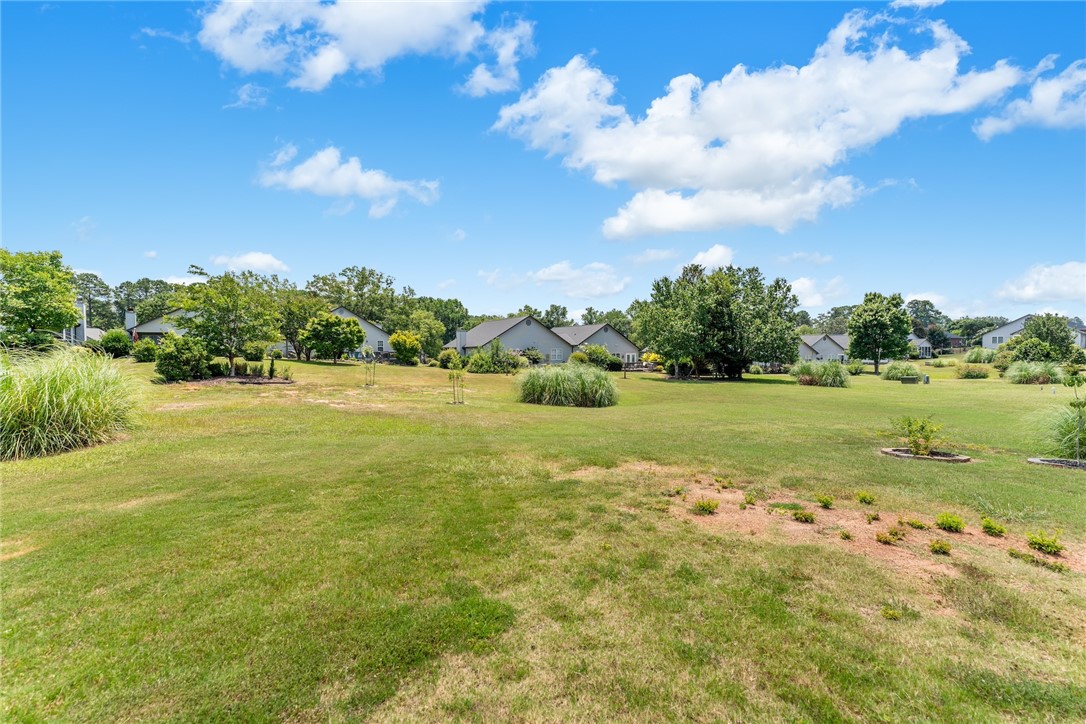 1010 Cobbs Glen Drive Anderson, SC 29621 - Photo 29 of 30