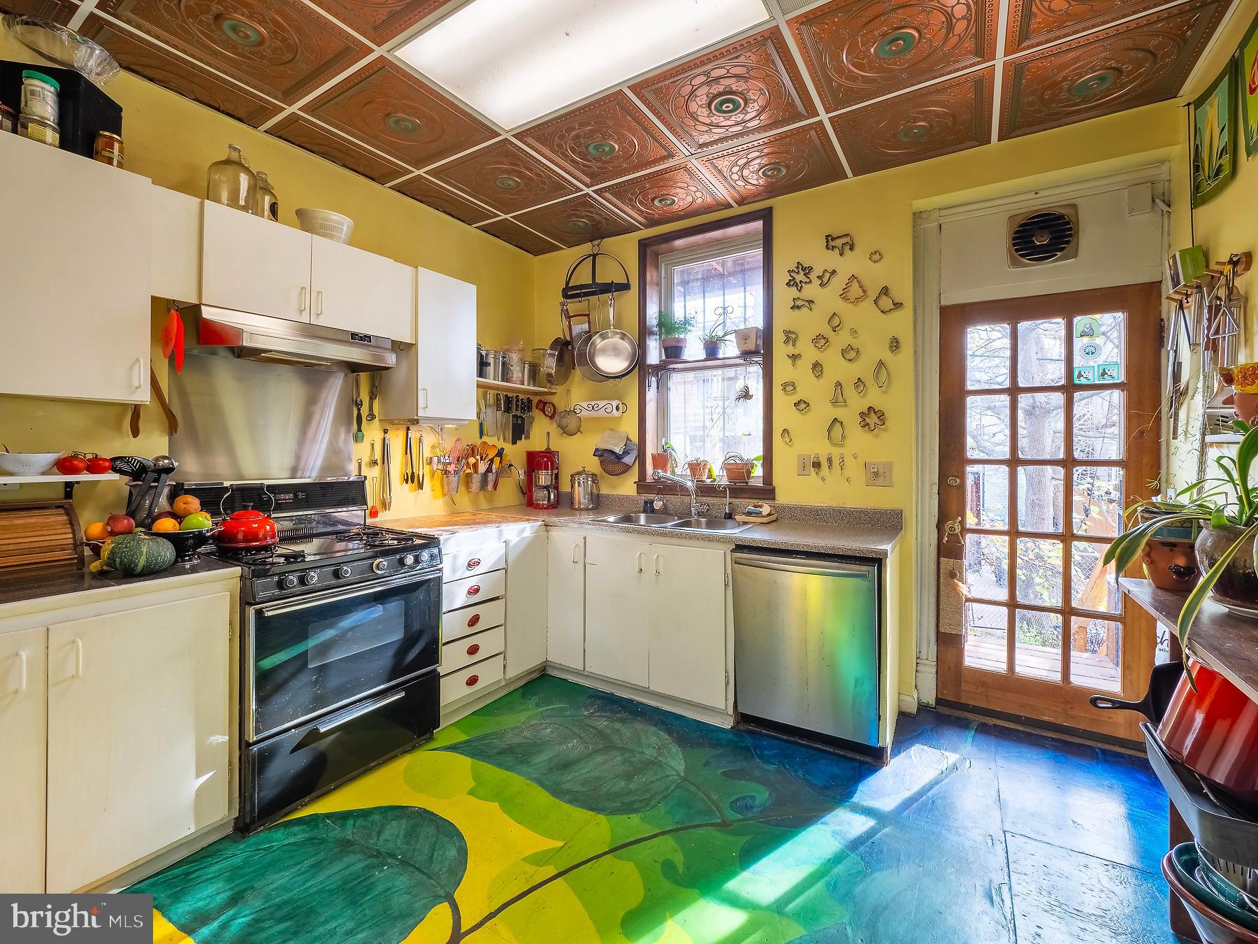 116 U Street Northwest Washington, DC 20001 - Photo 17 of 49 Kitchen floor mural painted by the artist owner.