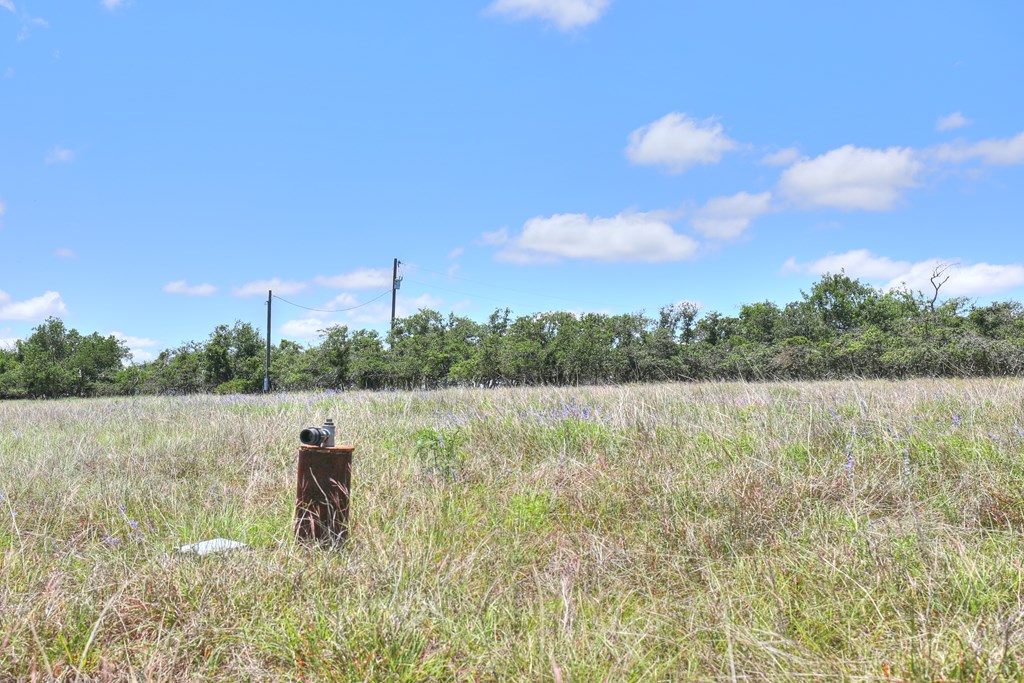 2600 Reservation Road Harper, TX 78631 - Photo 4 of 16
