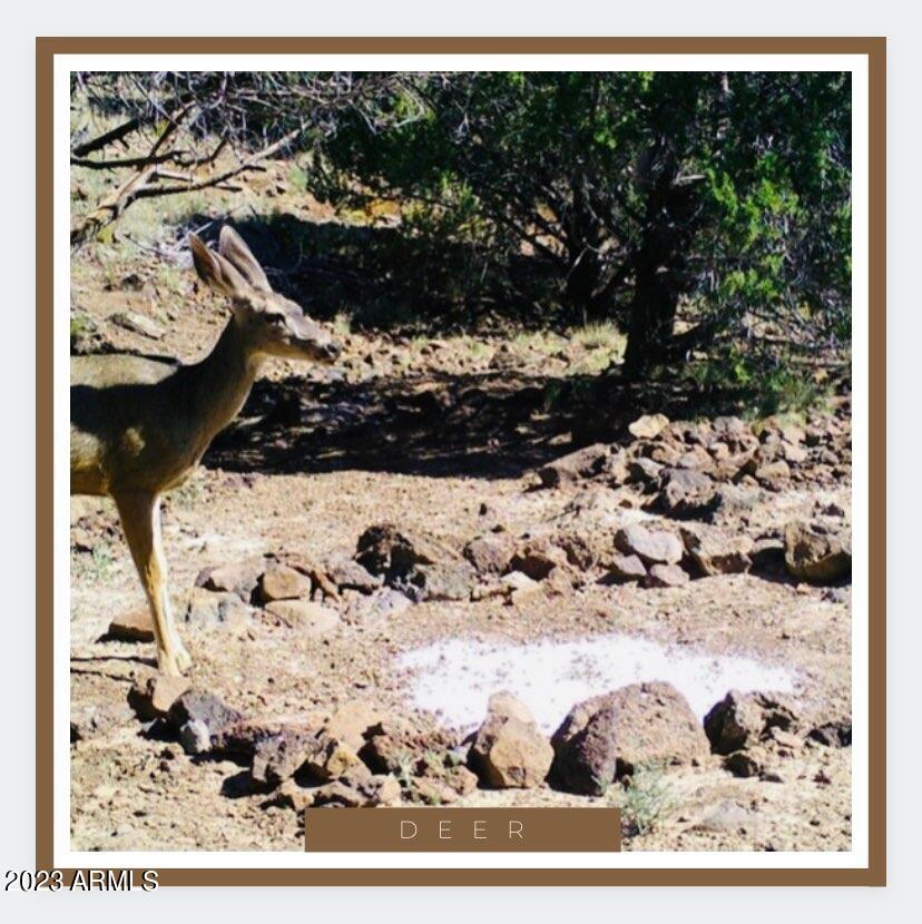 327 North Edwards Rnch Road, Unit 327 Williams, AZ 86046 - Photo 3 of 6