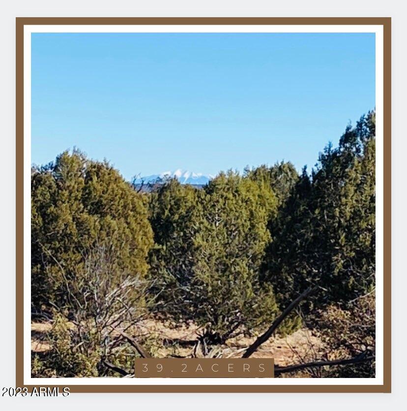 327 North Edwards Rnch Road, Unit 327 Williams, AZ 86046 - Photo 4 of 6 a view of a yard