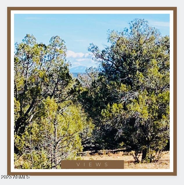 327 North Edwards Rnch Road, Unit 327 Williams, AZ 86046 - Photo 5 of 6 view of a wooden floor