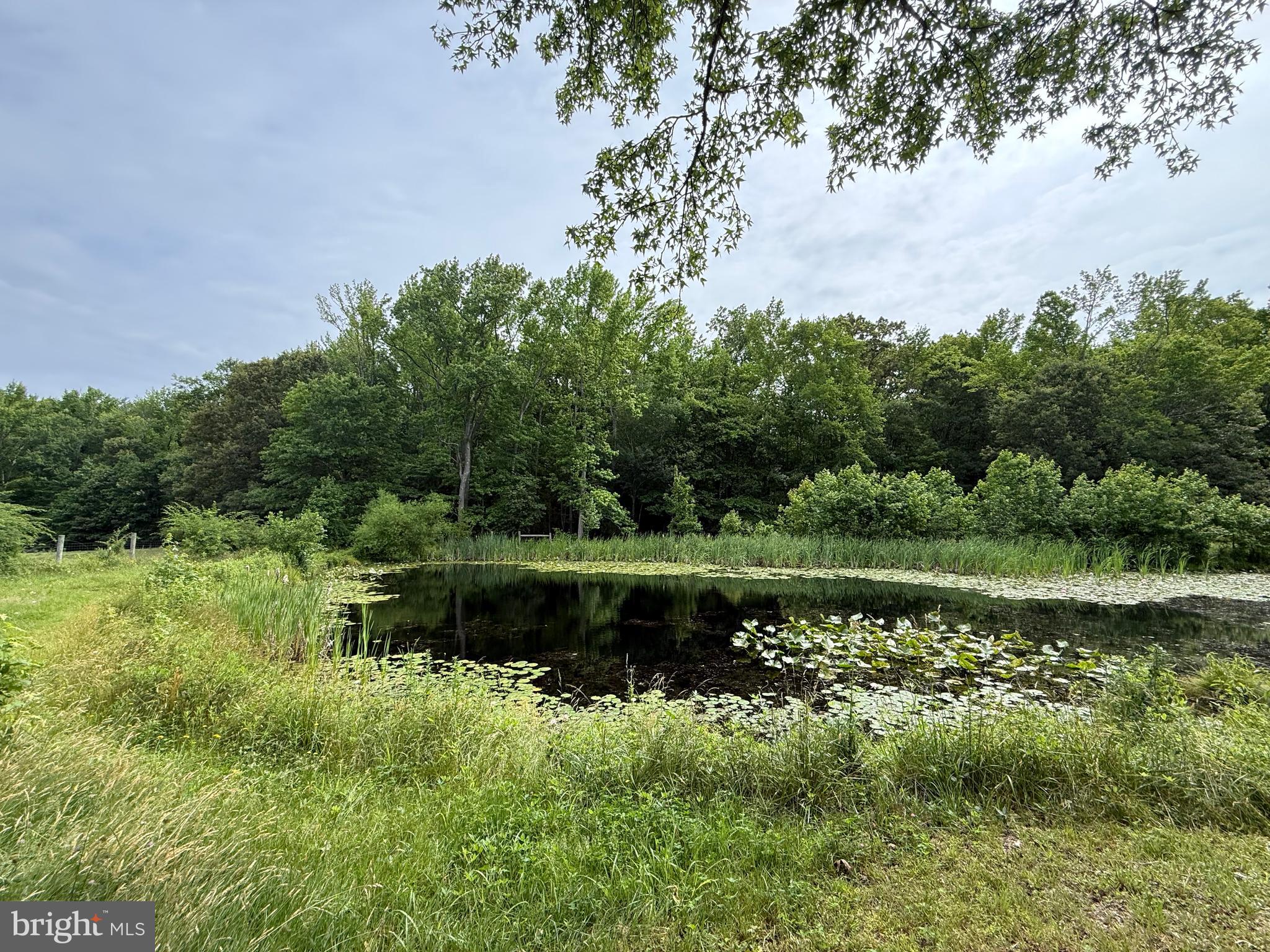 204 Alloway Aldine Road Woodstown, NJ 08098 - Photo 11 of 19