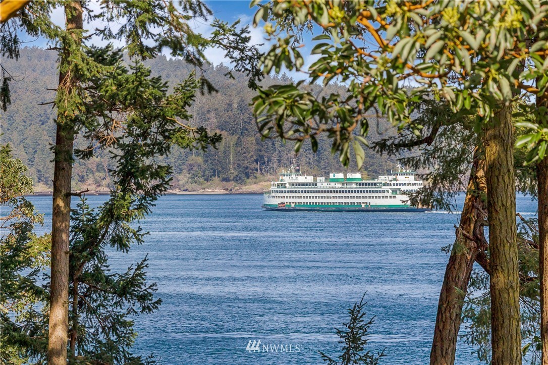 89 Walling Road Friday Harbor, WA 98250 - Photo 12 of 40