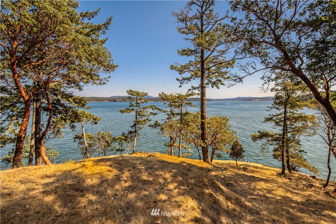 89 Walling Road Friday Harbor, WA 98250 - Photo 14 of 40