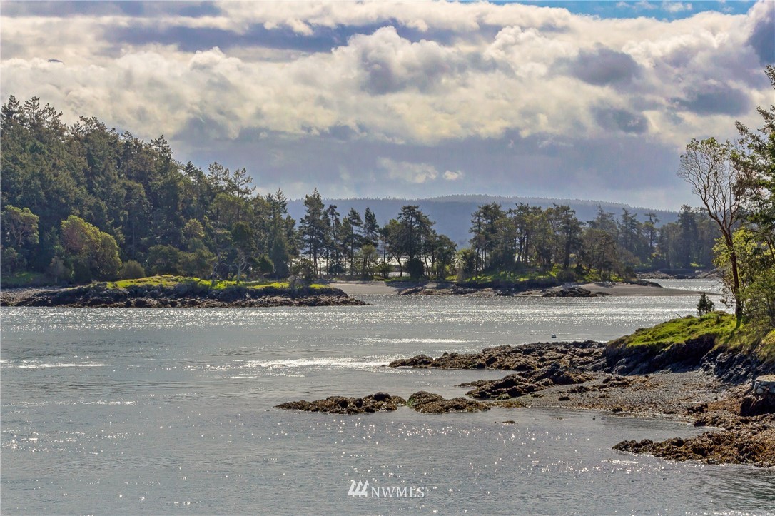 89 Walling Road Friday Harbor, WA 98250 - Photo 32 of 40