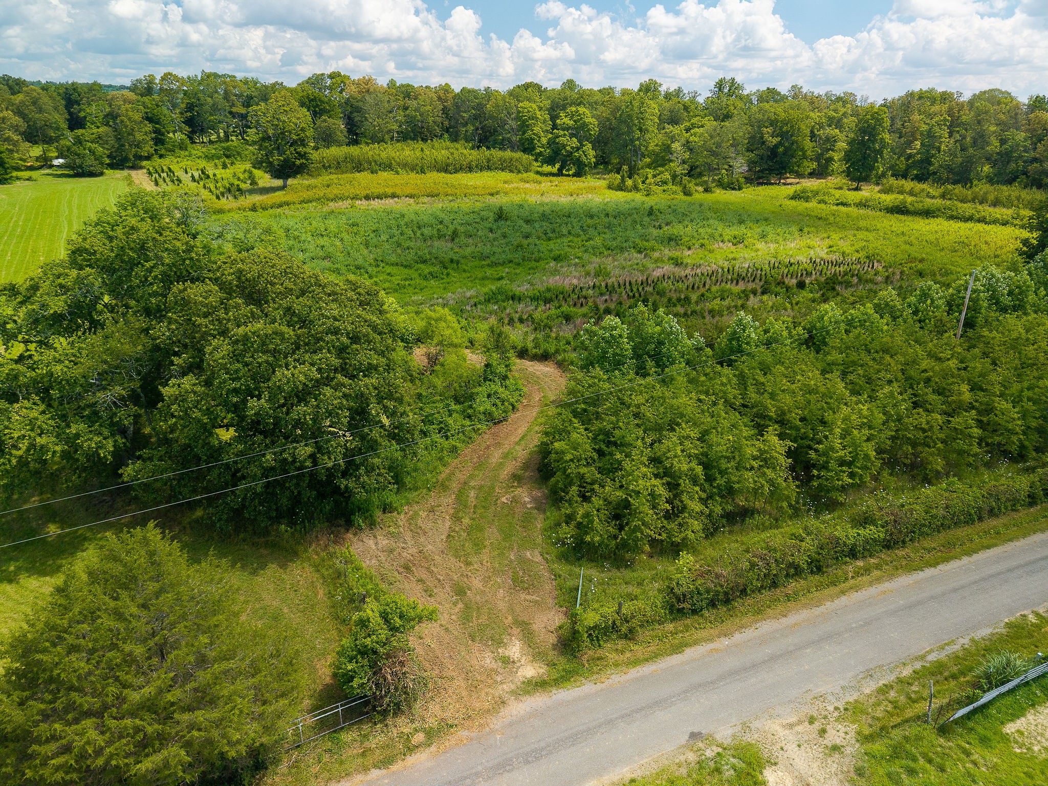 0 Sneed Road McMinnville, TN 37110 - Photo 7 of 16