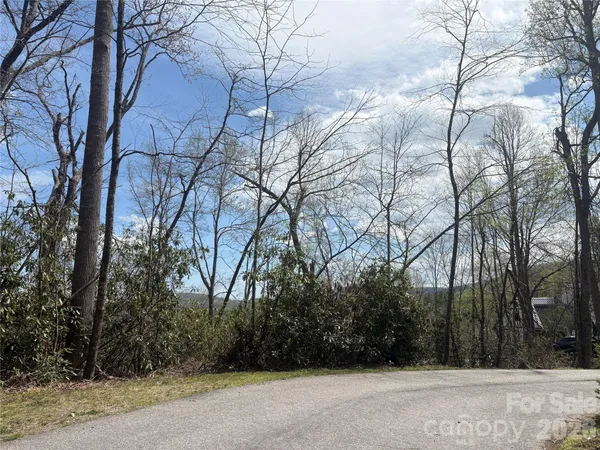 a view of a yard with trees