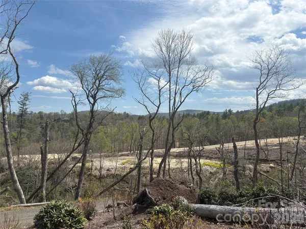 a view of a backyard of the house