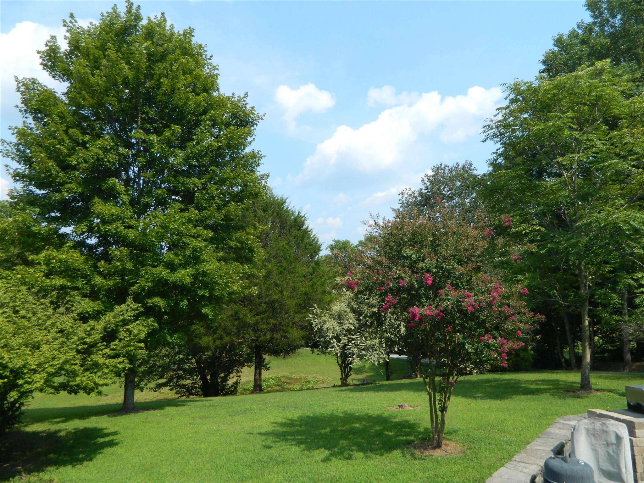491 Pee Dee Branch Road Cottontown, TN 37048 - Photo 11 of 30 a view of a park with trees and a lake