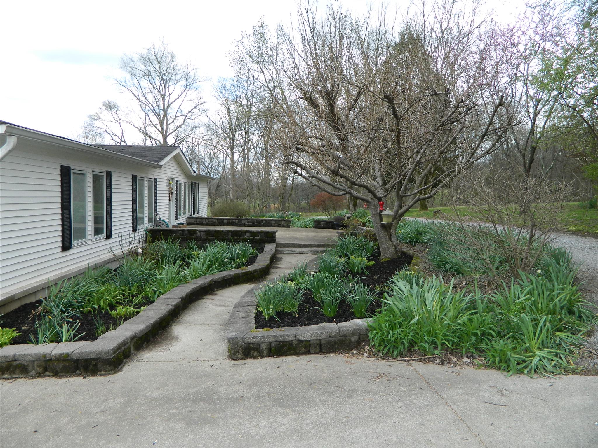 491 Pee Dee Branch Road Cottontown, TN 37048 - Photo 2 of 30 a view of a garden with large trees
