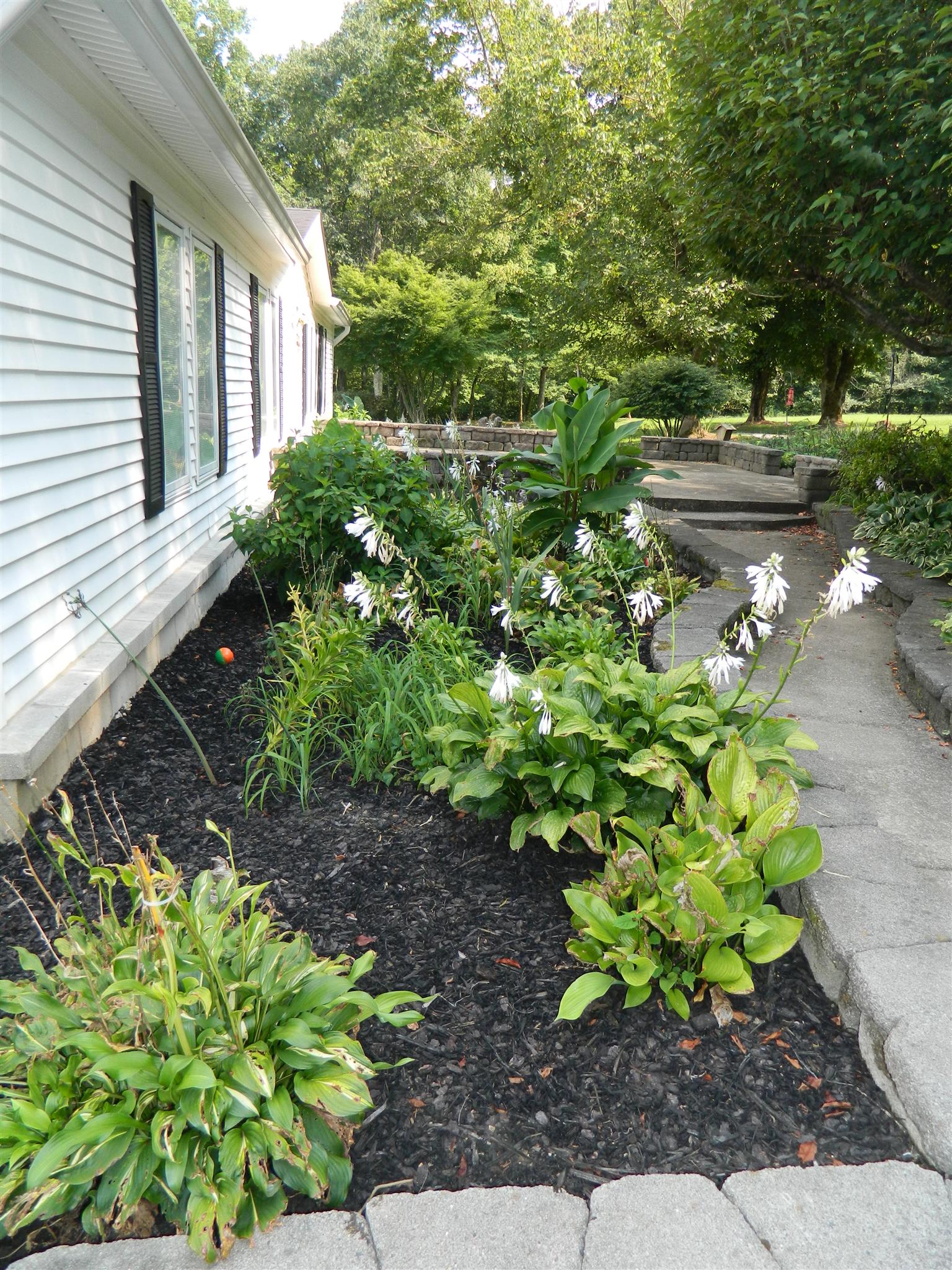 491 Pee Dee Branch Road Cottontown, TN 37048 - Photo 3 of 30 a plant is in front of the house